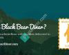 Boise Black Bear Diner