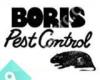 Boris Pest Control