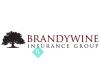 Brandywine Insurance Group