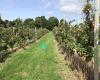 Brookdale Fruit Farm Stand