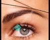 Brow Art 23