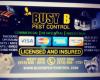 Busy B Pest Control