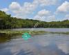 Caddo lake