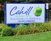 Cahill Dental Care
