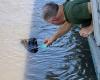 Cajun Critters Swamp Tour