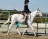 California Riding Academy, LLC