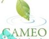 Cameo Landscaping