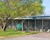 Camp Bow-Wow Kennels