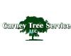 Carney Tree Service