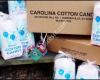 Carolina Cotton Candy