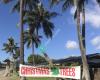 Carrolls Island Christmas Trees