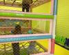 Catch Air Indoor Playground and Party