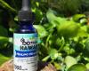 CBD Wellness Hawaii