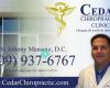 Cedar Chiropractic Clinic