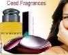 Ceed Fragrances