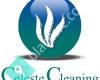 Celeste Home Cleaning