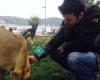 Cemil's Dog Walking & Sitting