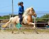 Centaur City Icelandic Riding School