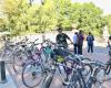 Central Park Tours & Bike Rentals