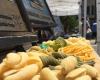 Central Square Farmers Market