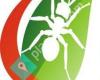 Central Termite & Pest Control