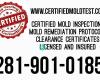 Certified Mold Testing and Consulting