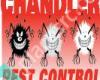 Chandler Pest Control