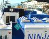 Charter Boat Ischia Capri Napoli - Private boat Transferts and Excursion