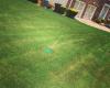 ChemPro Lawn Care