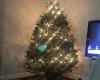 Christmas Tree Brooklyn