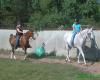 Circle R Stables- Riding Lessons, Horse Boarding- Conroe, Tx.