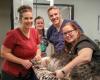 Companion Pet Clinic - Phoenix
