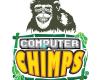 Computer Chimps