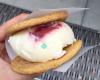 Coolhaus Ice Cream Sandwiches