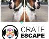 Crate Escape Atlanta