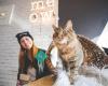 Crumbs & Whiskers - A Cat Cafe Experience.