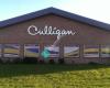 Culligan Water Conditioning of Springfield