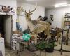 Daniken's Outdoor Specialties Taxidermy Studio