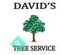 David's Tree Service