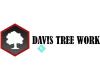 Davis Tree Work