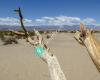 Death Valley National Park