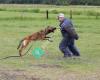 Der Wächter Police K-9 Training Center