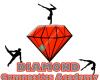 Diamond Gymnastics Academy