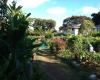 Diamond Head Community Garden