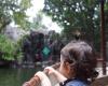 Disney's Jungle Cruise