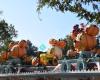 Disneyland's Halloween Time