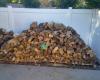Dobbs Firewood