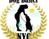 Dog Basics NYC