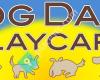 Dog Daze Playcare