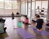 Downtown Yoga & Wellness Co-op